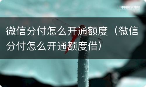 微信分付怎么开通额度（微信分付怎么开通额度借）