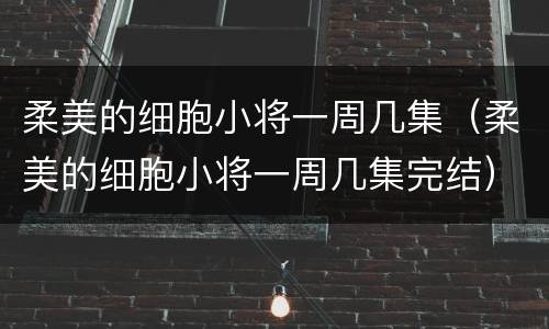 柔美的细胞小将一周几集（柔美的细胞小将一周几集完结）