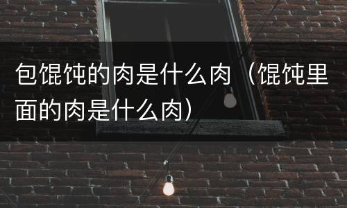 包馄饨的肉是什么肉（馄饨里面的肉是什么肉）