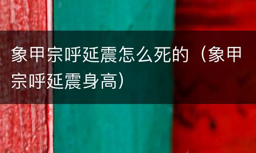 象甲宗呼延震怎么死的（象甲宗呼延震身高）