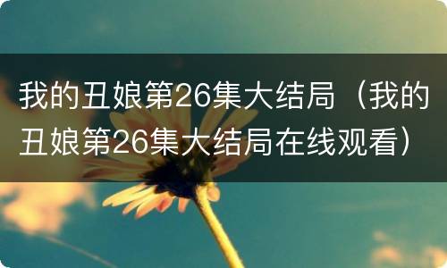 我的丑娘第26集大结局（我的丑娘第26集大结局在线观看）