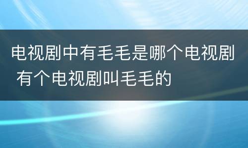 电视剧中有毛毛是哪个电视剧 有个电视剧叫毛毛的