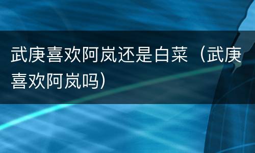 武庚喜欢阿岚还是白菜（武庚喜欢阿岚吗）