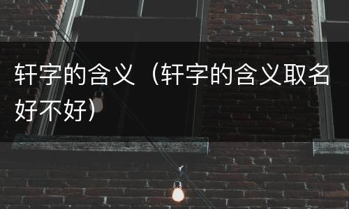 轩字的含义（轩字的含义取名好不好）