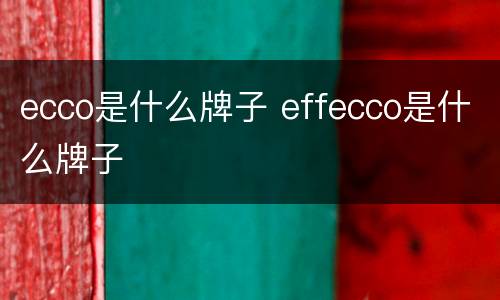 ecco是什么牌子 effecco是什么牌子