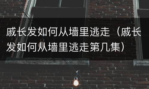 戚长发如何从墙里逃走（戚长发如何从墙里逃走第几集）