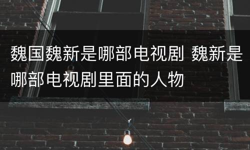 魏国魏新是哪部电视剧 魏新是哪部电视剧里面的人物