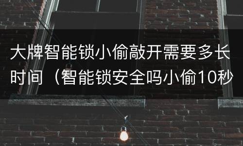 大牌智能锁小偷敲开需要多长时间（智能锁安全吗小偷10秒钟就能打开）