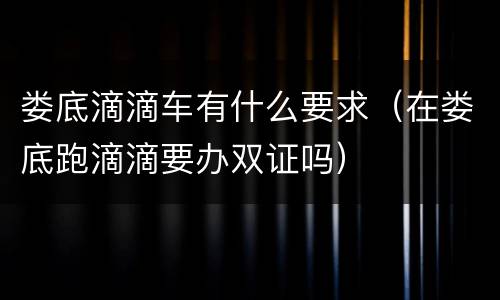 娄底滴滴车有什么要求（在娄底跑滴滴要办双证吗）