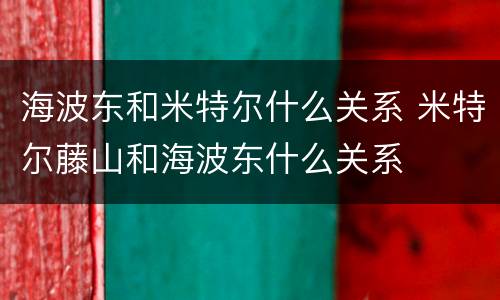 海波东和米特尔什么关系 米特尔藤山和海波东什么关系