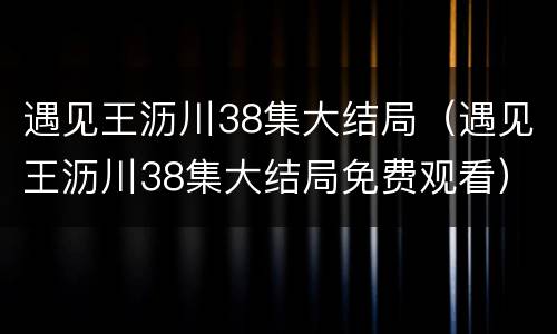 遇见王沥川38集大结局（遇见王沥川38集大结局免费观看）