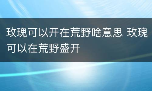 玫瑰可以开在荒野啥意思 玫瑰可以在荒野盛开