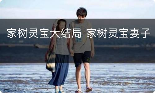 家树灵宝大结局 家树灵宝妻子