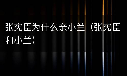 张宪臣为什么亲小兰（张宪臣和小兰）