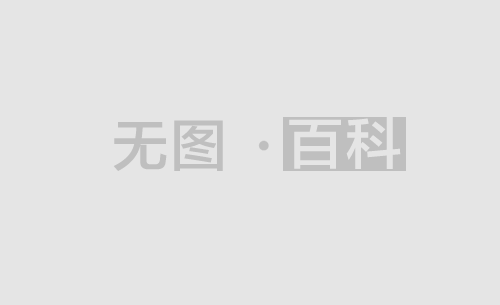 放行偷越国 放行偷越国边境人员罪的主体可以是公安民警吗