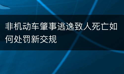 非机动车肇事逃逸致人死亡如何处罚新交规