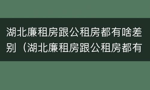 湖北廉租房跟公租房都有啥差别（湖北廉租房跟公租房都有啥差别吗）