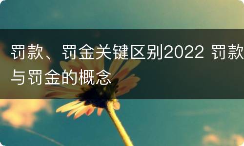 罚款、罚金关键区别2022 罚款与罚金的概念