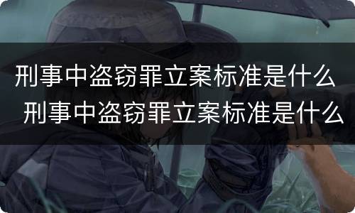 刑事中盗窃罪立案标准是什么 刑事中盗窃罪立案标准是什么规定