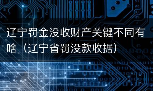 辽宁罚金没收财产关键不同有啥（辽宁省罚没款收据）