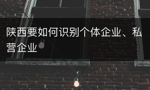 陕西要如何识别个体企业、私营企业