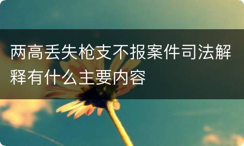 两高丢失枪支不报案件司法解释有什么主要内容