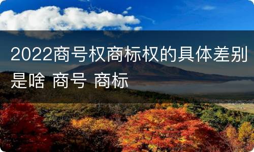 2022商号权商标权的具体差别是啥 商号 商标