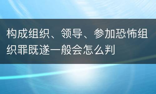 构成组织、领导、参加恐怖组织罪既遂一般会怎么判