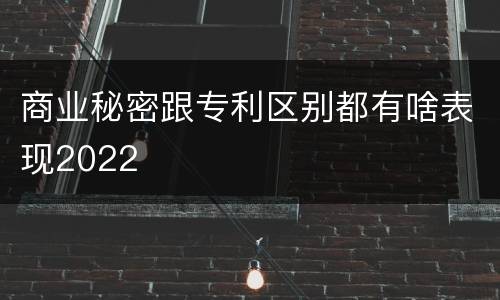 商业秘密跟专利区别都有啥表现2022