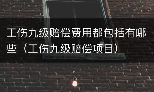 工伤九级赔偿费用都包括有哪些（工伤九级赔偿项目）