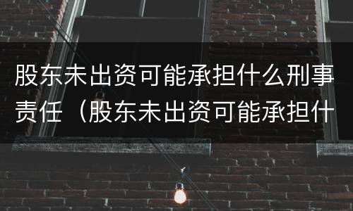 股东未出资可能承担什么刑事责任（股东未出资可能承担什么刑事责任呢）