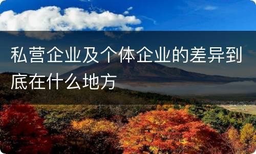 私营企业及个体企业的差异到底在什么地方