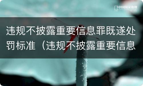 违规不披露重要信息罪既遂处罚标准（违规不披露重要信息罪既遂处罚标准是）