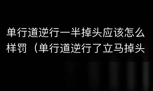 单行道逆行一半掉头应该怎么样罚（单行道逆行了立马掉头扣几分）