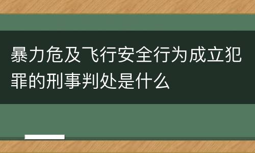 暴力危及飞行安全行为成立犯罪的刑事判处是什么