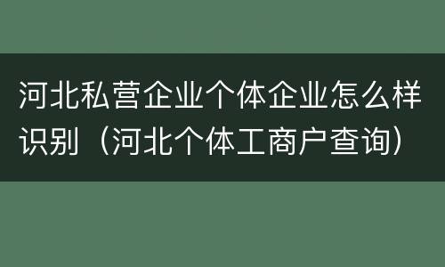 河北私营企业个体企业怎么样识别（河北个体工商户查询）