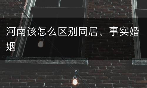 河南该怎么区别同居、事实婚姻