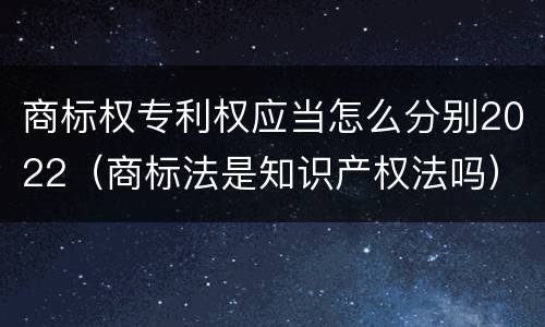 商标权专利权应当怎么分别2022（商标法是知识产权法吗）