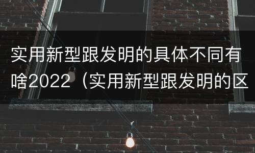 实用新型跟发明的具体不同有啥2022（实用新型跟发明的区别）