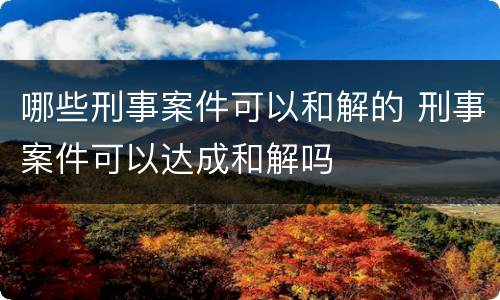 哪些刑事案件可以和解的 刑事案件可以达成和解吗