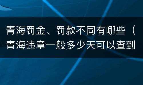 青海罚金、罚款不同有哪些（青海违章一般多少天可以查到）