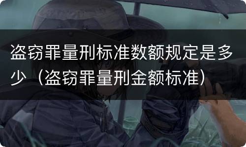 盗窃罪量刑标准数额规定是多少（盗窃罪量刑金额标准）