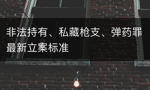 非法持有、私藏枪支、弹药罪最新立案标准