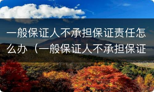 一般保证人不承担保证责任怎么办（一般保证人不承担保证责任怎么办手续）