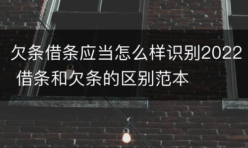 欠条借条应当怎么样识别2022 借条和欠条的区别范本