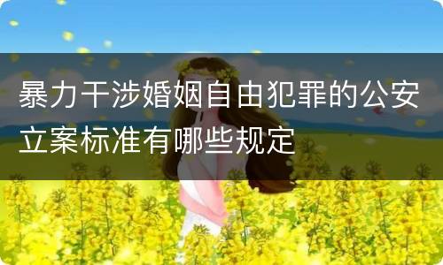 暴力干涉婚姻自由犯罪的公安立案标准有哪些规定