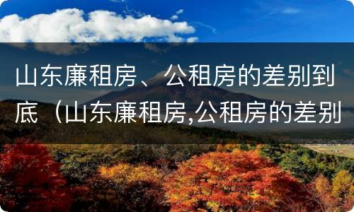 山东廉租房、公租房的差别到底（山东廉租房,公租房的差别到底是什么）