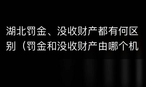 湖北罚金、没收财产都有何区别（罚金和没收财产由哪个机关执行）