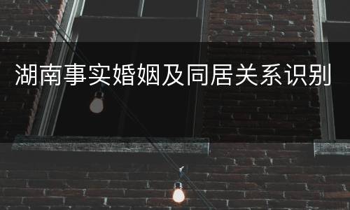 湖南事实婚姻及同居关系识别