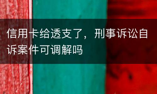 信用卡给透支了，刑事诉讼自诉案件可调解吗